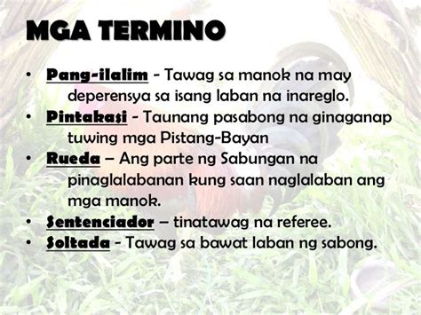 mga tawagan sa pustahan sa sabong